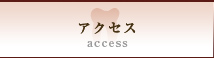 ܔcw̃ANZX-access-